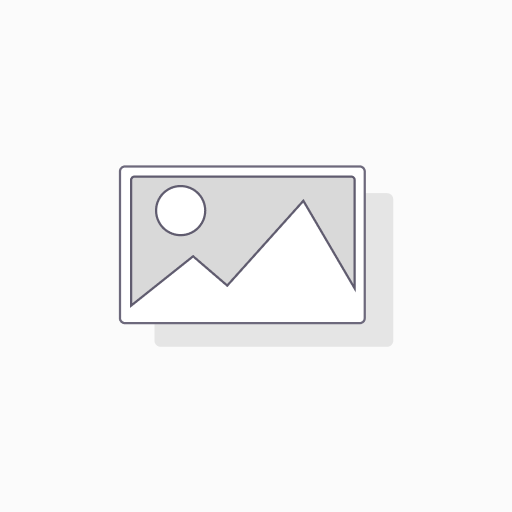 4Cats Plus Kurti Pant 8/53